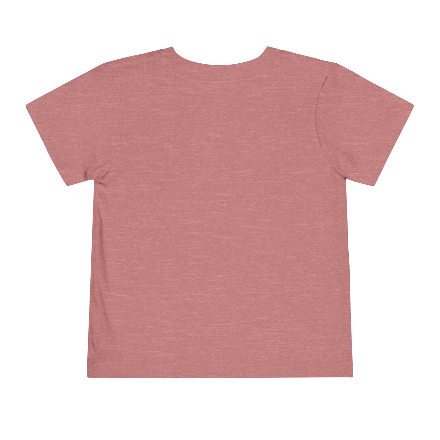 Cute Toddler Tee, Perfect for Gifts, Casual Wear, Birthdays, Playdates, & Everyday Adventures!